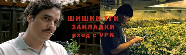 apvp Алзамай