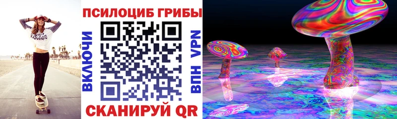 Галлюциногенные грибы GOLDEN TEACHER  хочу наркоту  Александровск 